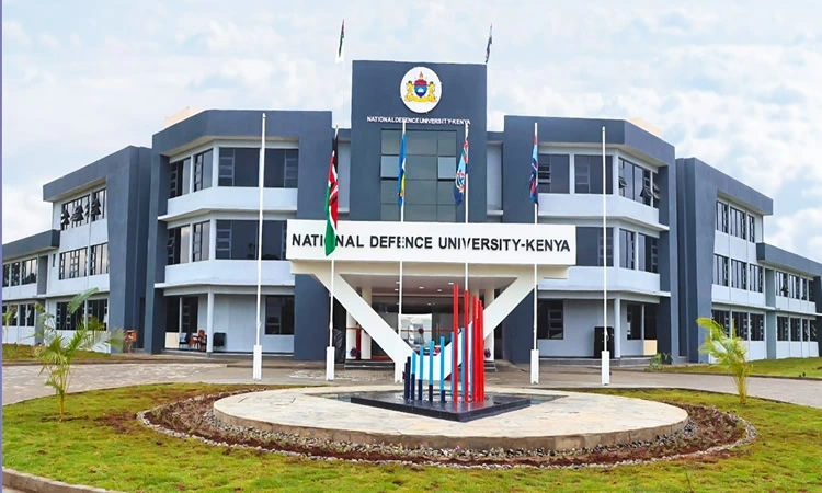 Empowering Dreams Through Education